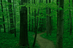 ecology
